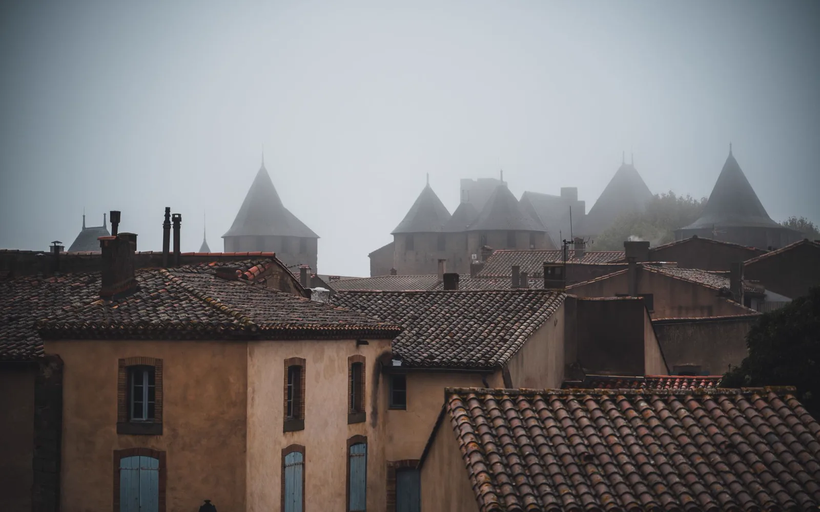 Chef d'entreprise cavaillonnais consultant les performances de son site sur ordinateur