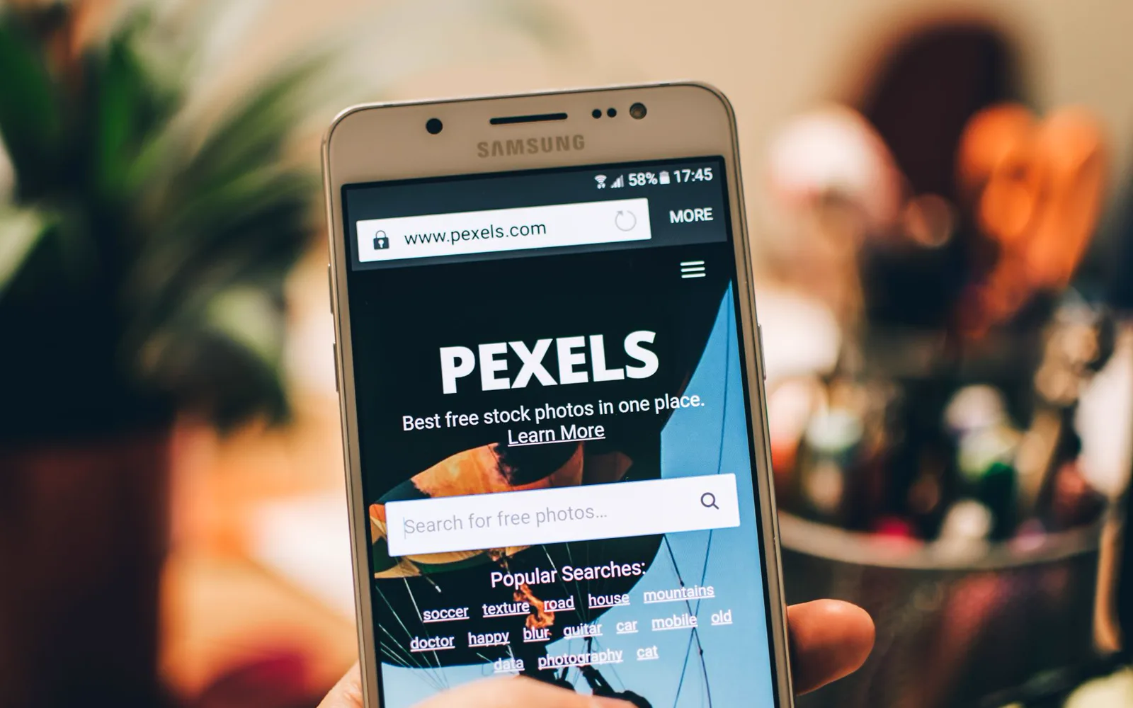 Recherche d’images pour un site web
