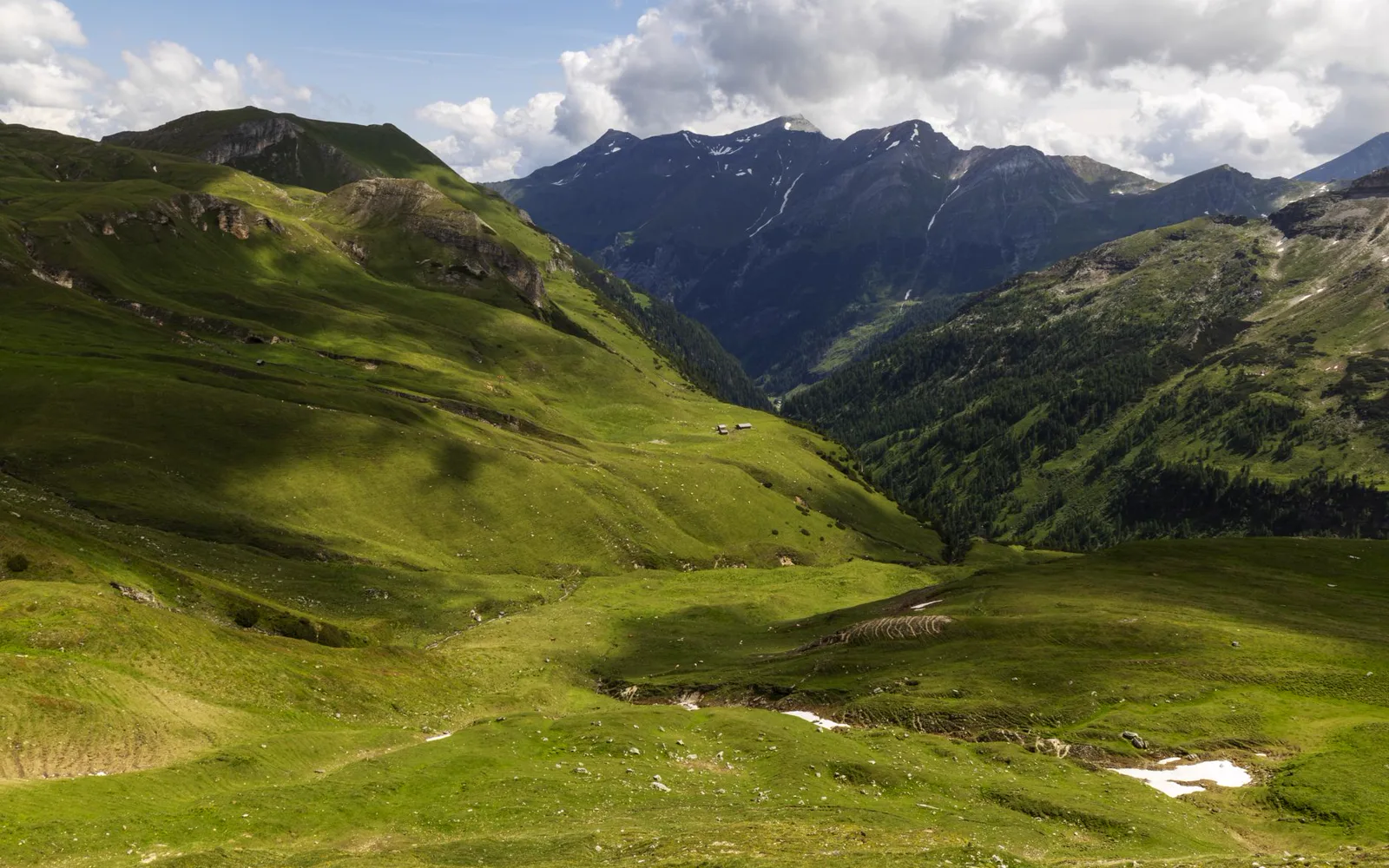 Les Monts du Cantal verdoyants autour du Lioran