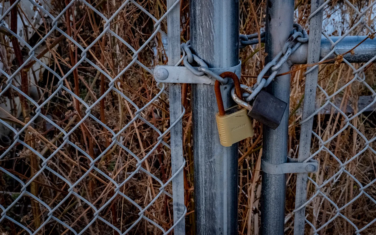 Développeur vérifiant la correction des erreurs de contenu mixte lors d’une migration HTTPS