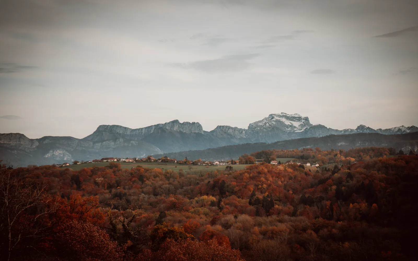 Paysages du Cantal à travers les quatre saisons