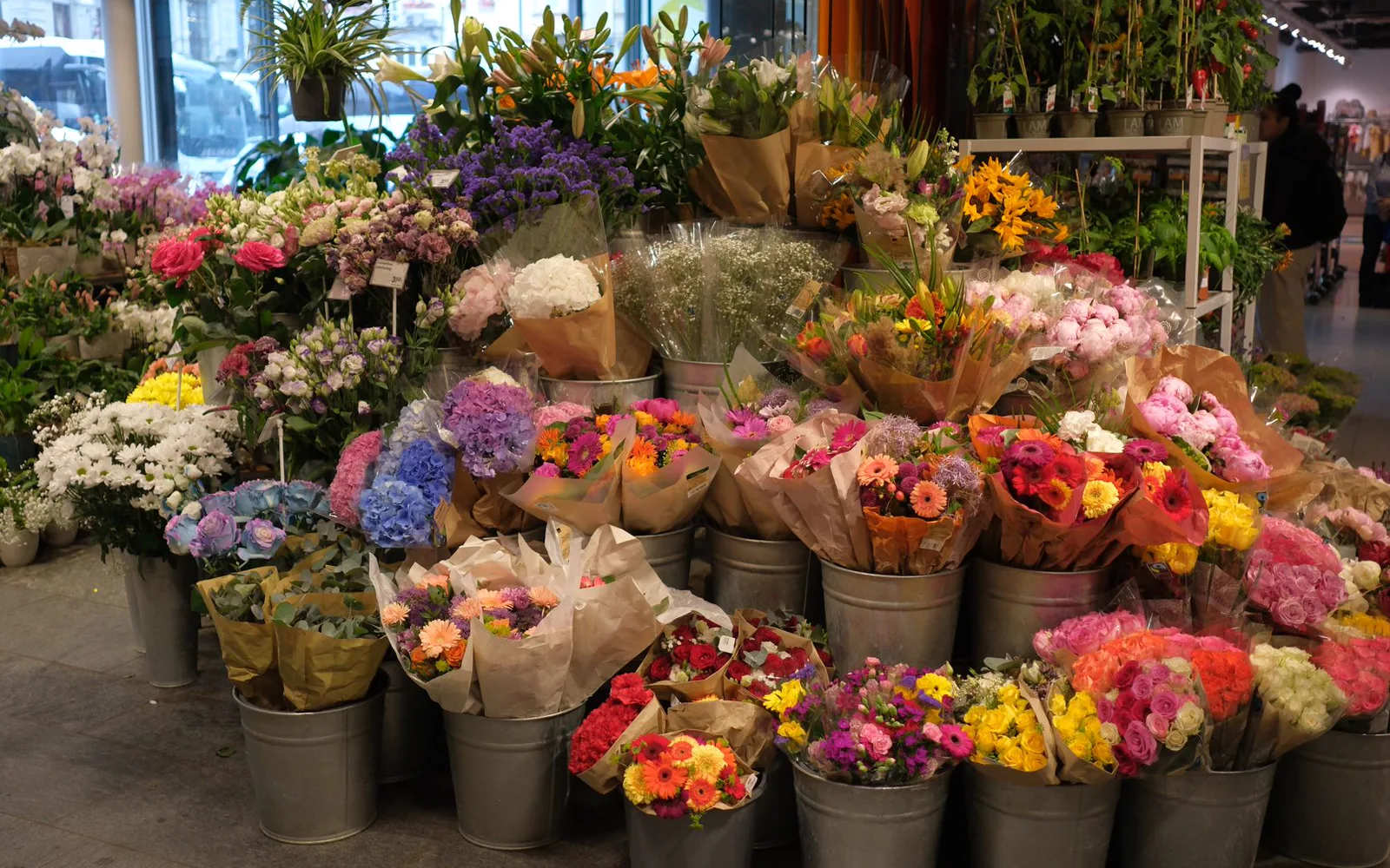 Fleuriste arrangeant un bouquet coloré dans sa boutique au décor végétal