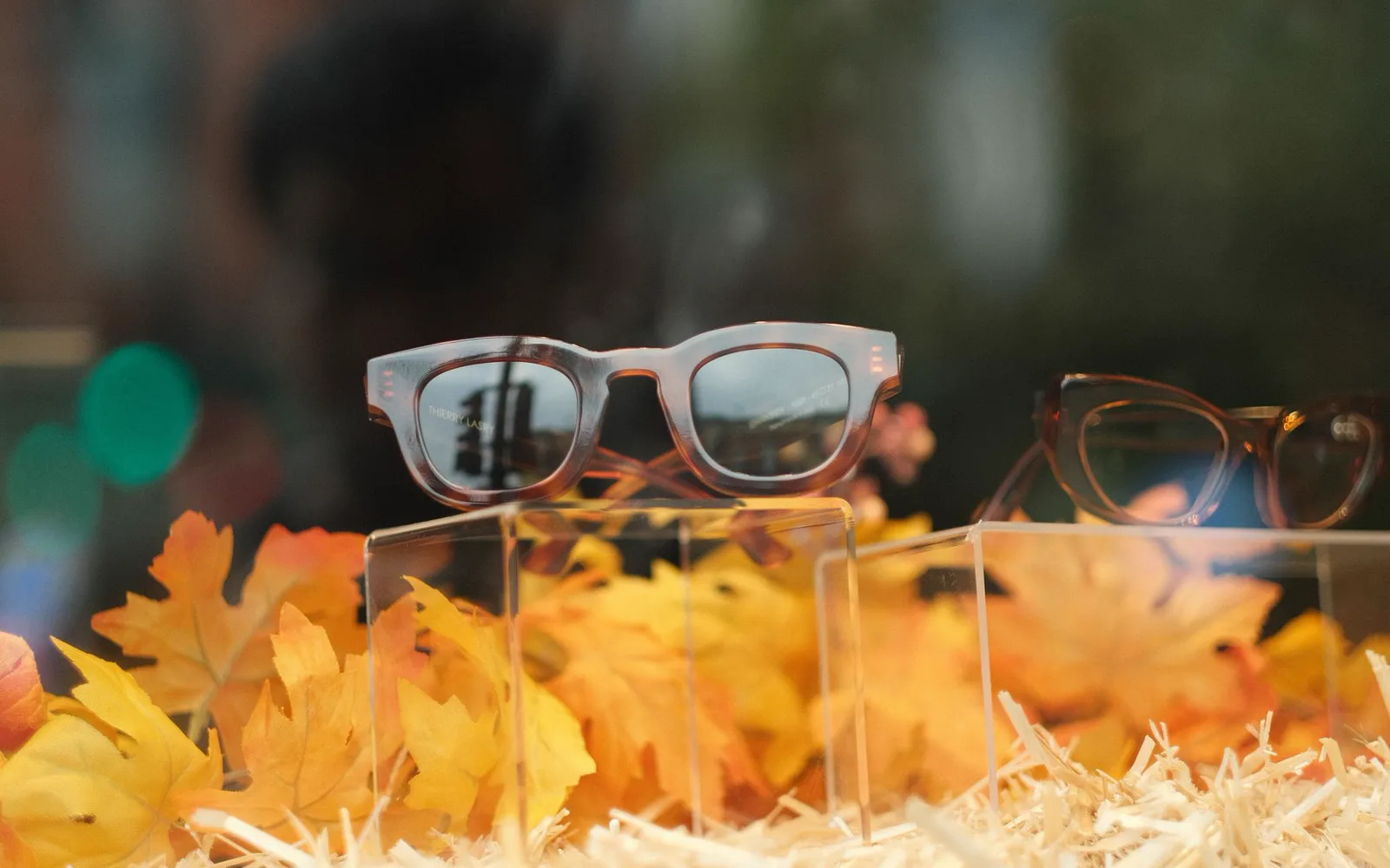 Boutique d'optique moderne avec présentoirs de montures et lumière naturelle