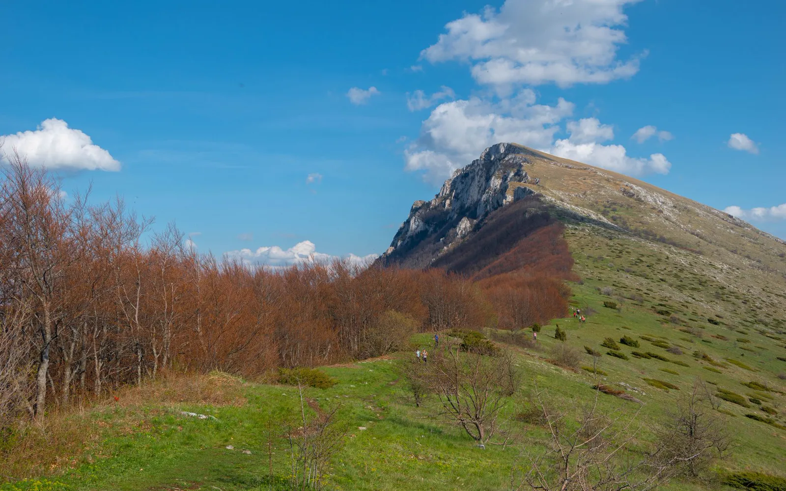 Paysage du Cantal aux couleurs d’automne