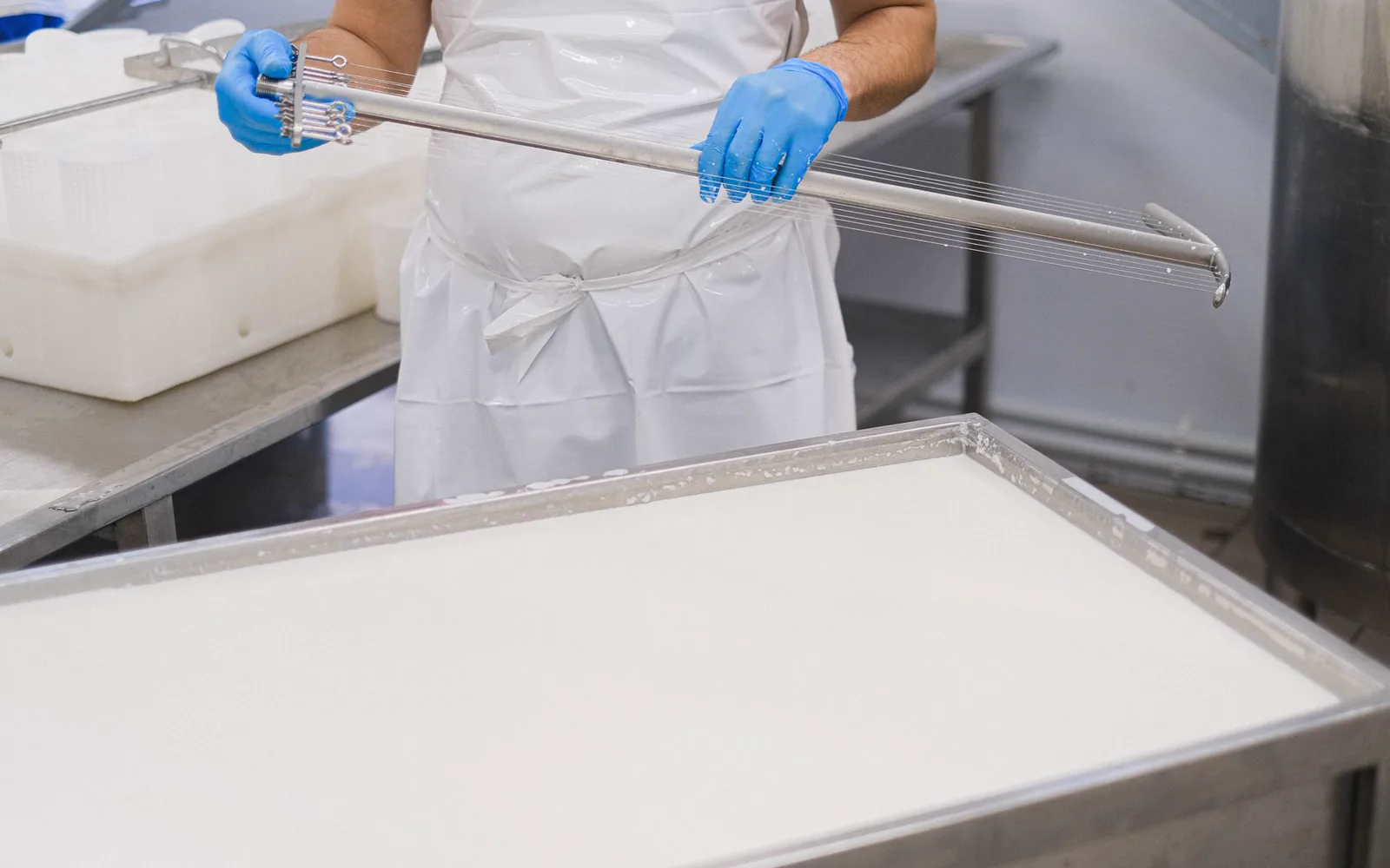 Fabrication et dégustation de fromage à la ferme