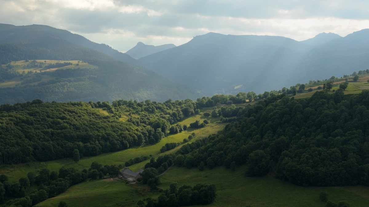 Paysage de vallée verdoyante des Monts du Cantal