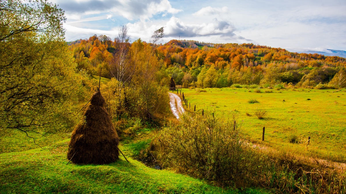 Chemin de campagne aux couleurs d’automne dans le Cantal