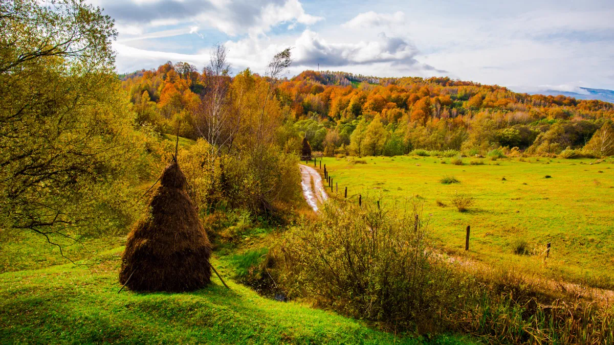 Chemin de campagne aux couleurs d’automne dans le Cantal