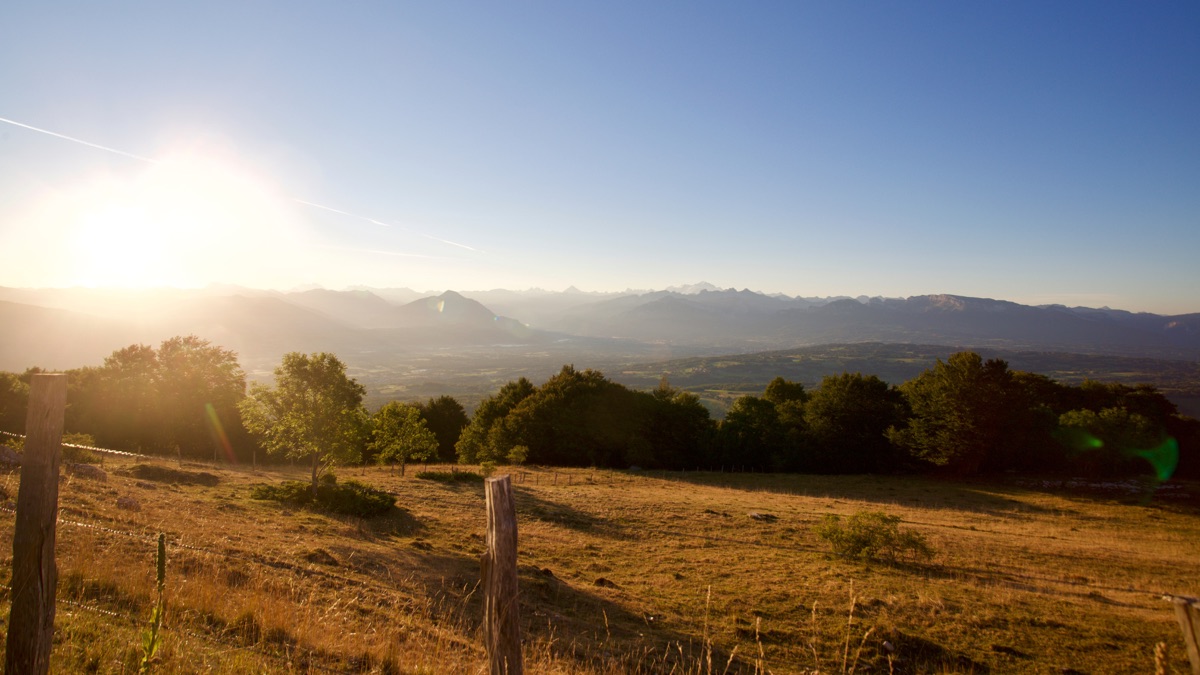 Champ du Cantal au lever du jour