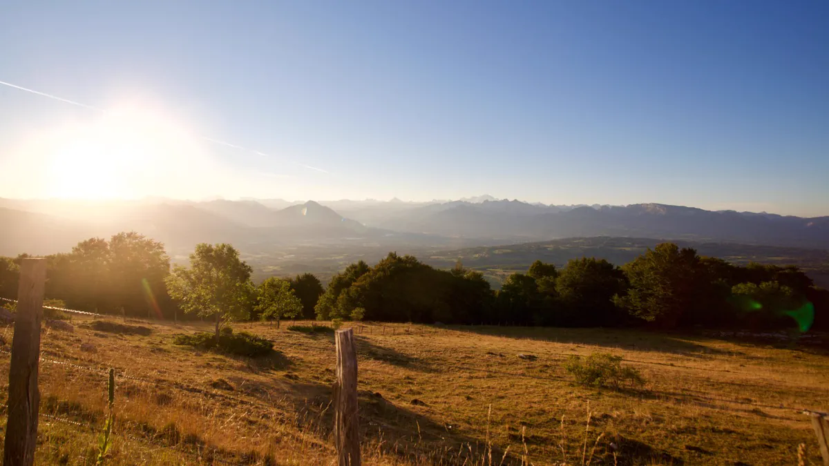 Champ du Cantal au lever du jour