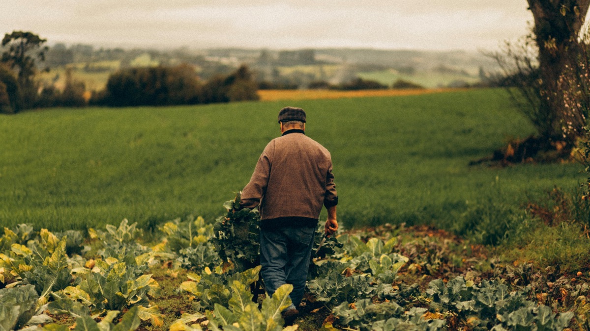 Agriculteur au travail dans un champ du Cantal