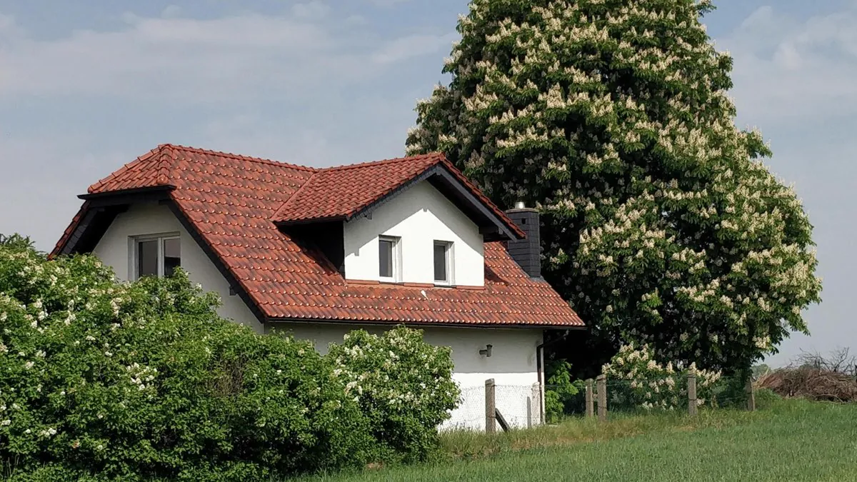 Gîte de campagne à la toiture de tuiles sous un arbre en fleurs