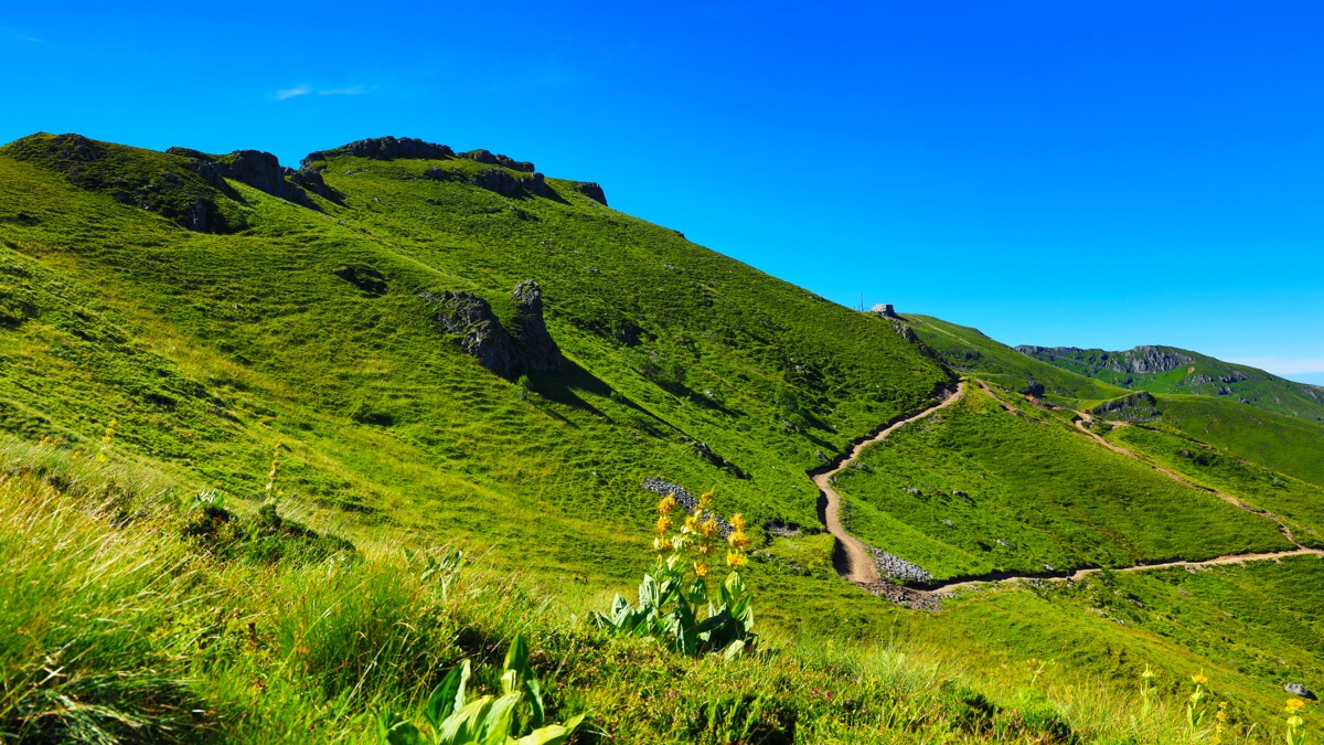 Ferme et estives du Cantal, cadre d’expériences