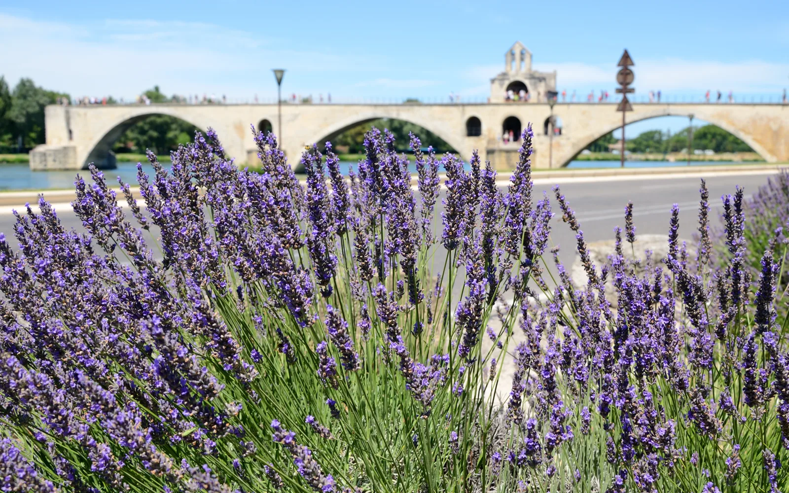 Création d'un site internet à Avignon