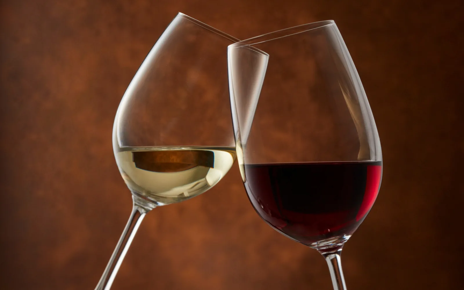 Intérieur d’une cave à vins avec murs en brique et bouteilles disposées en casiers