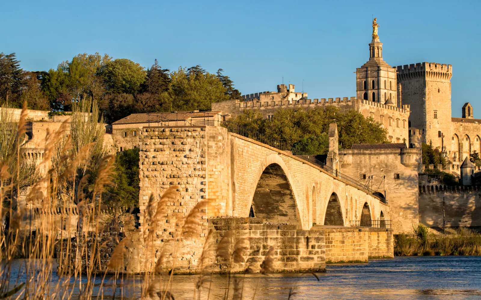 Site internet responsive consulté sur mobile par un visiteur à Avignon