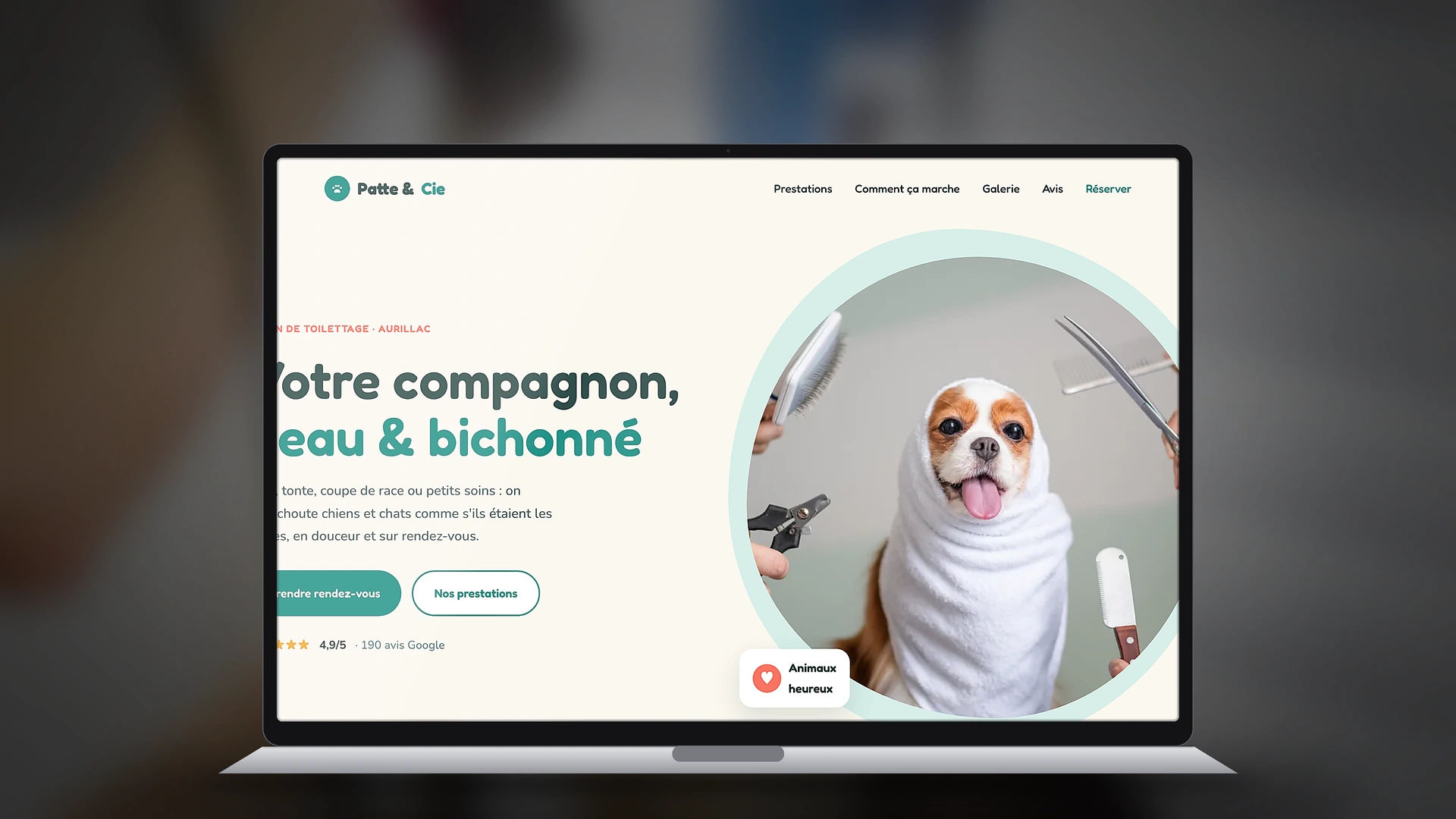 Exemple de site internet de toiletteur créé par Tricolab